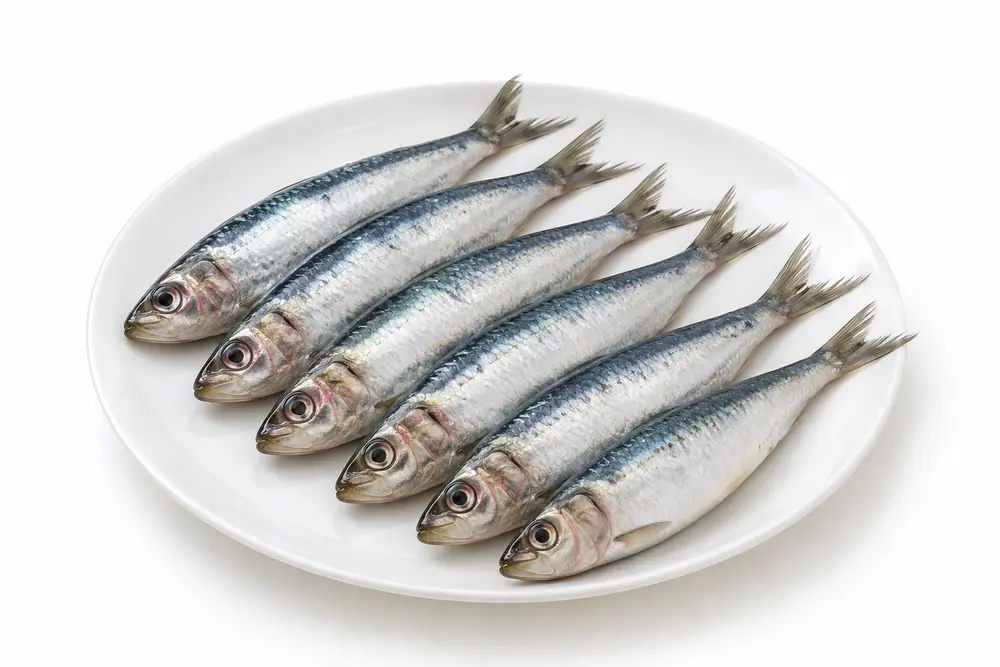 Frozen Mathy (Sardines) 500 g
