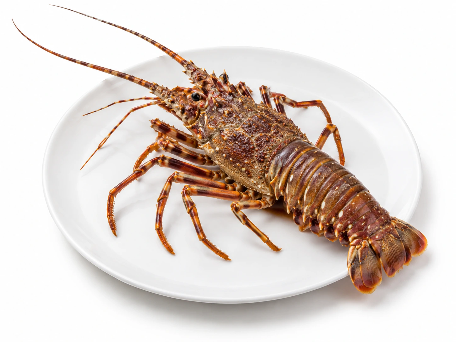 Frozen Rock Lobster 500 g