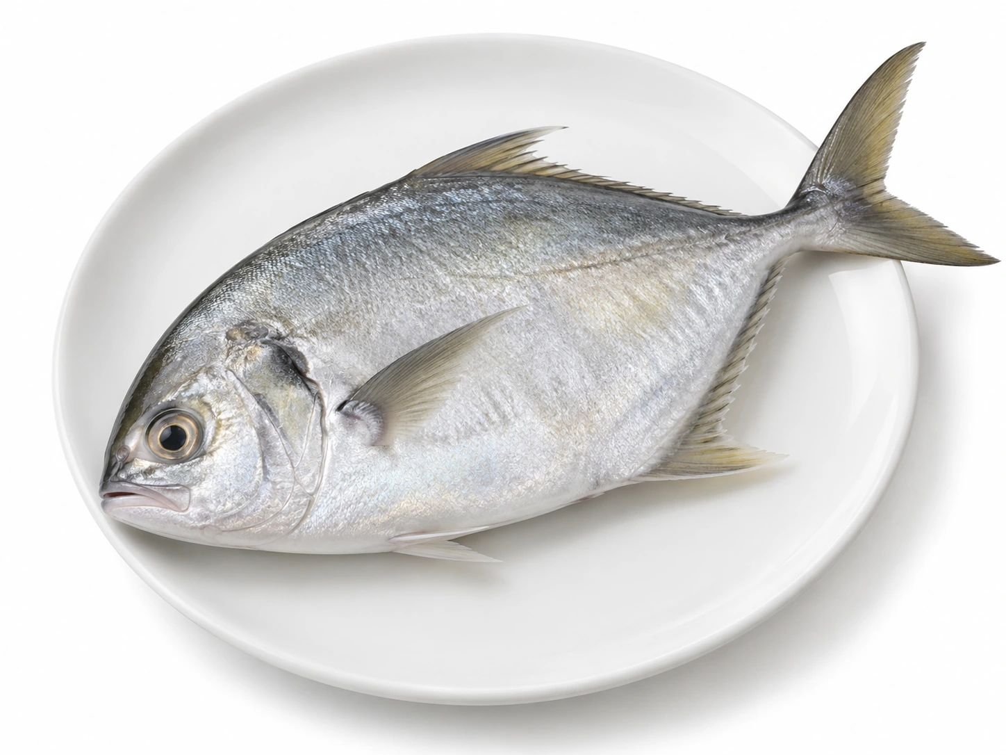 Frozen Trevally 500 g